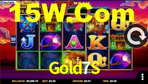 Premium Interface Gold7S